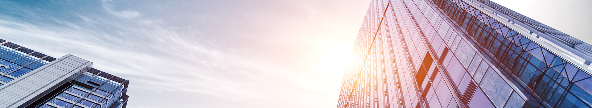 banner banner